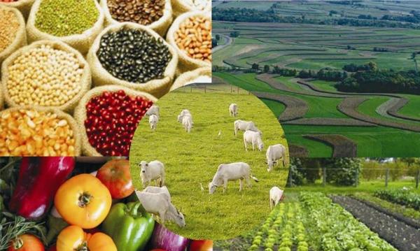 Na mídia nos últimos meses, a pecuária tem aparecido com vilã do meio ambiente e a probteína bovina como prejudicial à saúde / Foto: Imagem captada web