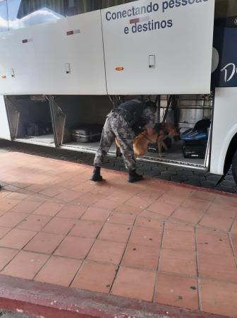 Foto: Reprodução/Brigada Militar