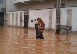 Crédito: Foto: TV Alterosa Sul de Minas