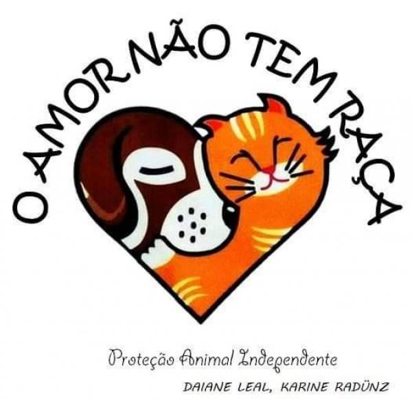 VEJA CADA UM DELES NA GALERIA DE FOTOS DO SITE