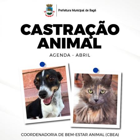 Imagem: Divulgação