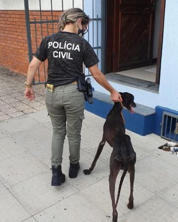 Foto: Divulgação