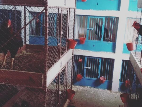 Foto: Divulgação